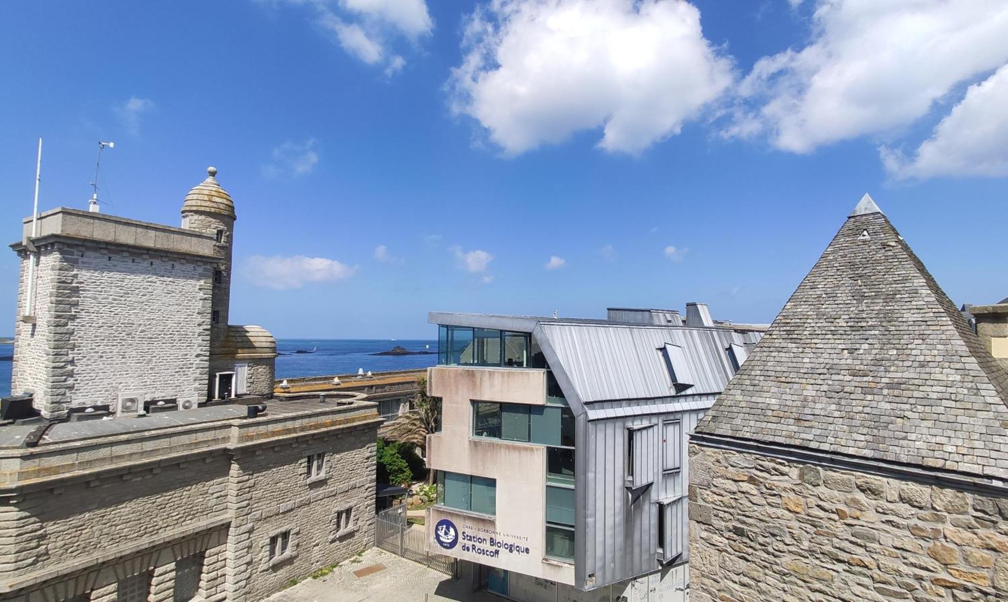 Apartment 2 Pieces Classe 2 Etoiles Et Terrasse Centre Historique Roscoff